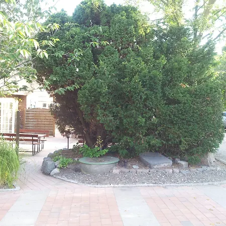 Hotel Tetens Suederluegum